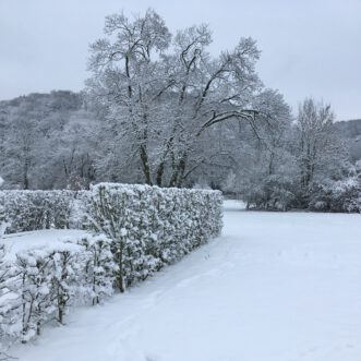 Die alte weiße Frau und das Schulfrei