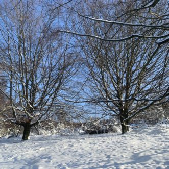 Die alte weisse Frau und die Freuden des Winters