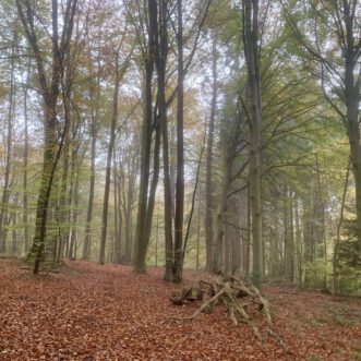 Die alte weisse Frau und der Tip